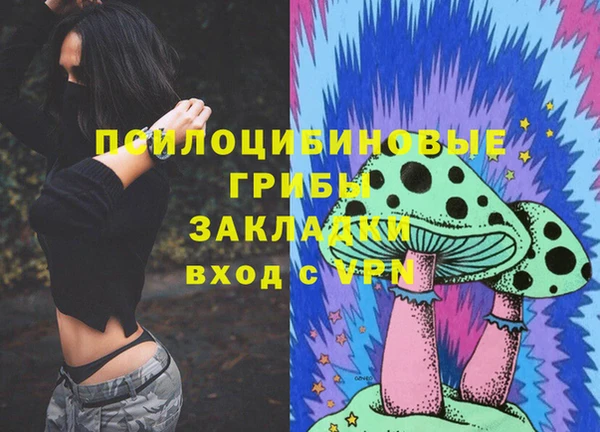 каннабис Белокуриха